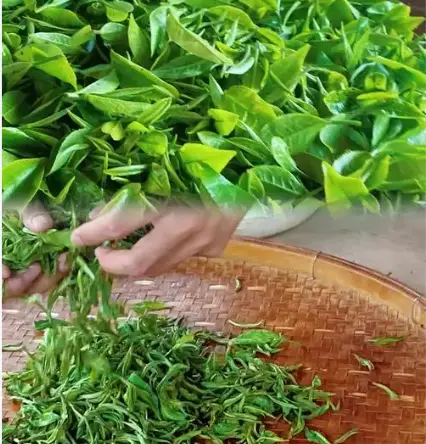 上海徐家汇天主教堂究竟有多震撼？实地探访后我彻底惊呆了😲