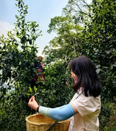 上海武康路打卡哪家冰淇淋值得吃？我排队排到脚软才敢说真话