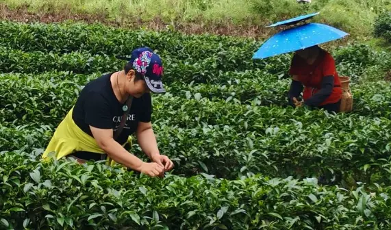 私密茶室有榻榻米吗？日式风格推荐给你答案