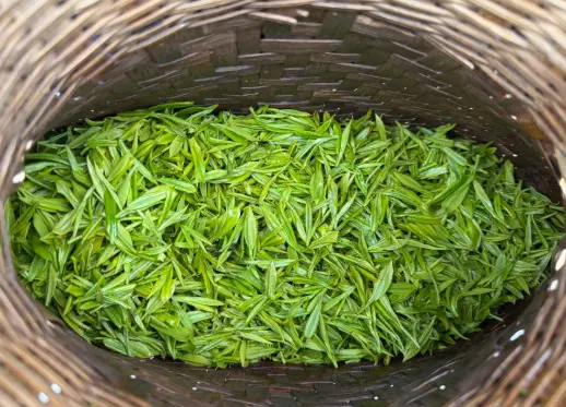 上海苏州河梦清园：普陀环保主题新地标，一场绿色奇迹正在上演🌿