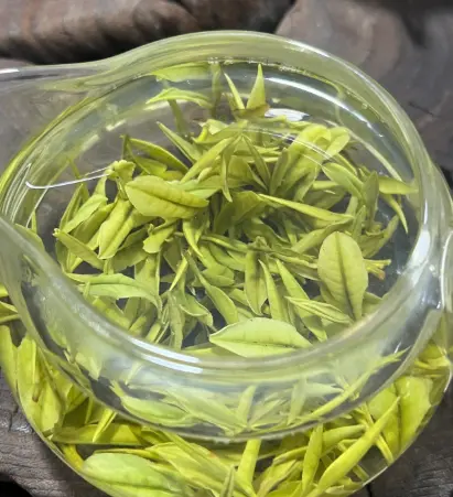上海会所宠物餐与零食准备，别问我怎么知道的，翻车现场太真实了😭